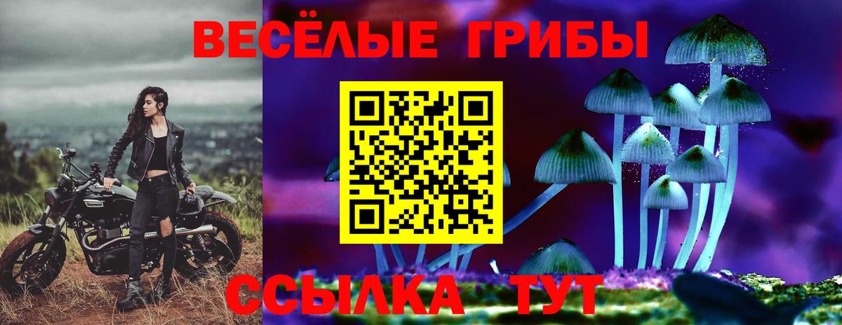 Галлюциногенные грибы Magic Shrooms Нягань